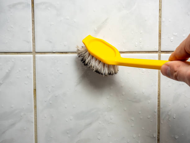 Best Toxic Mold Removal  in Cleary, MS