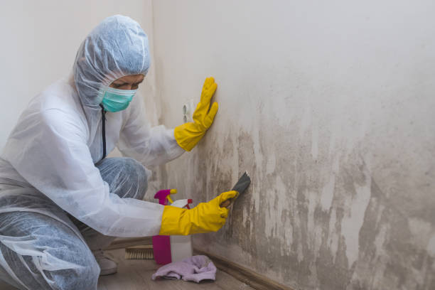 Water Damage Restoration in Cleary, MS