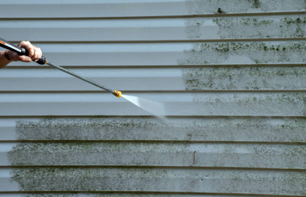 Best Certified Mold Removal  in Cleary, MS