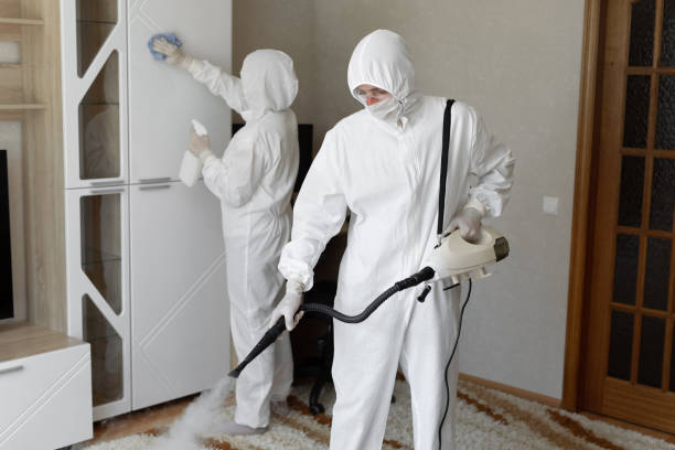Best Mold Remediation Experts  in Cleary, MS