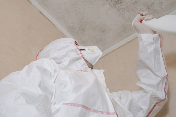 Best Mold Removal Company Near Me  in Cleary, MS