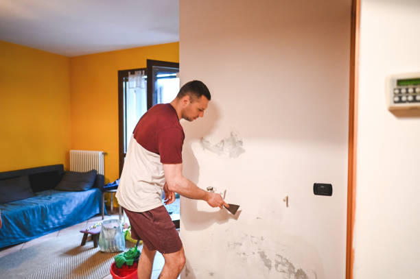 Best Water Damage Restoration  in Cleary, MS